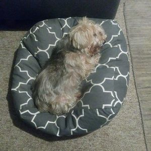 Meet your Posher, Paula